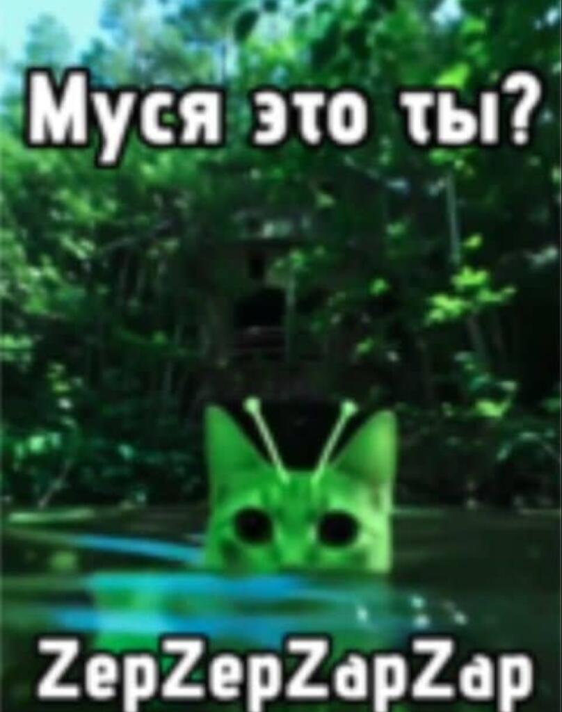 Зелёный кот с большими глазами на фоне леса с надписями Муся это ты и ZepZepZapZap