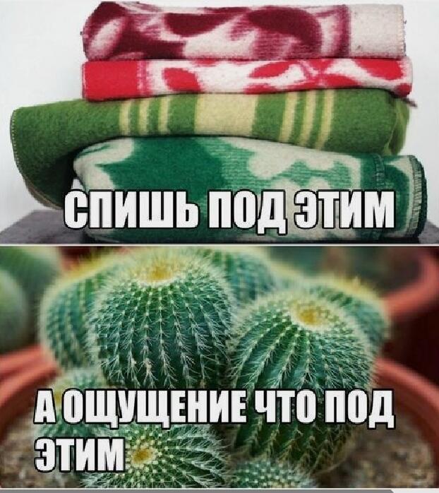 Мем от Alex)