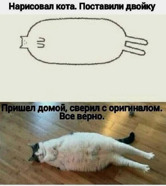 Мем от Alex)