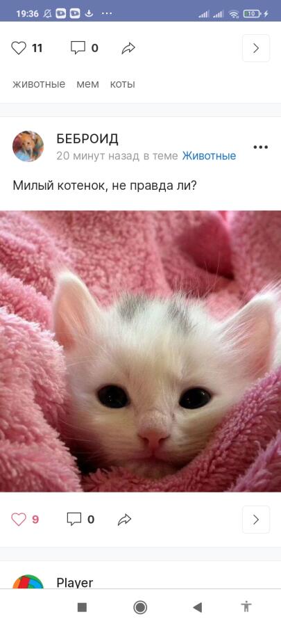 Я в трендах)