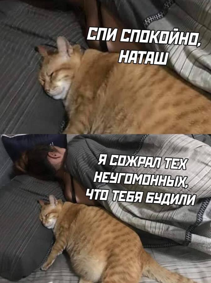 Мем от Левое полушарие мемозга