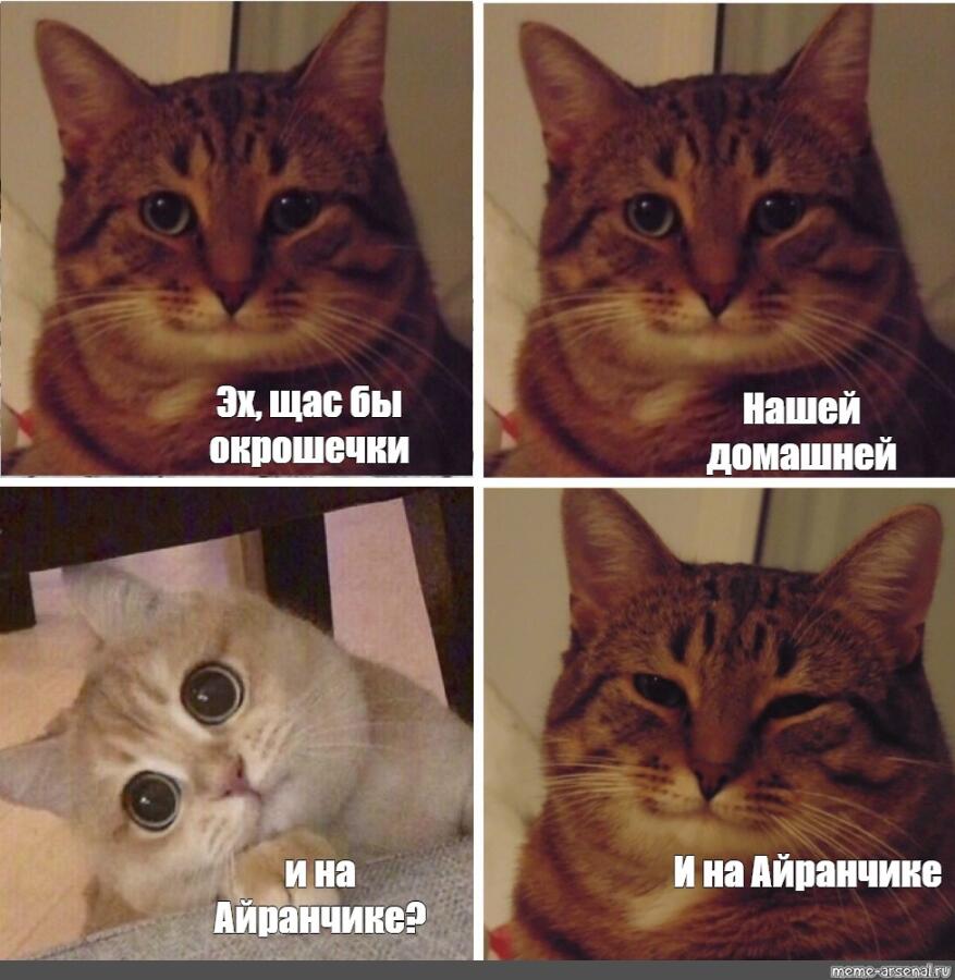 Мем от Левое полушарие мемозга