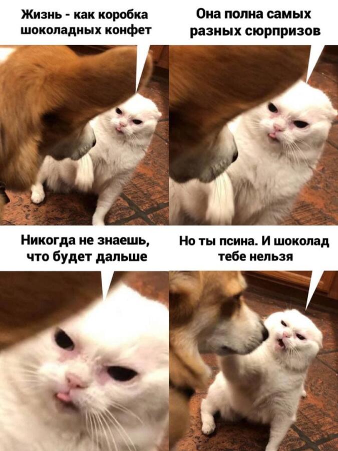 Мем от Левое полушарие мемозга