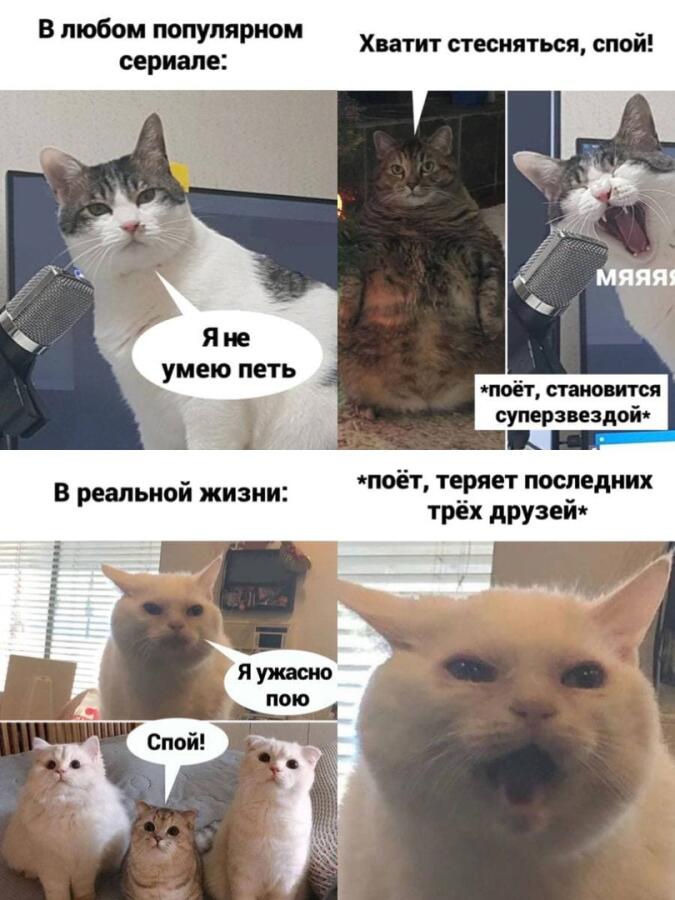 Мем от Левое полушарие мемозга