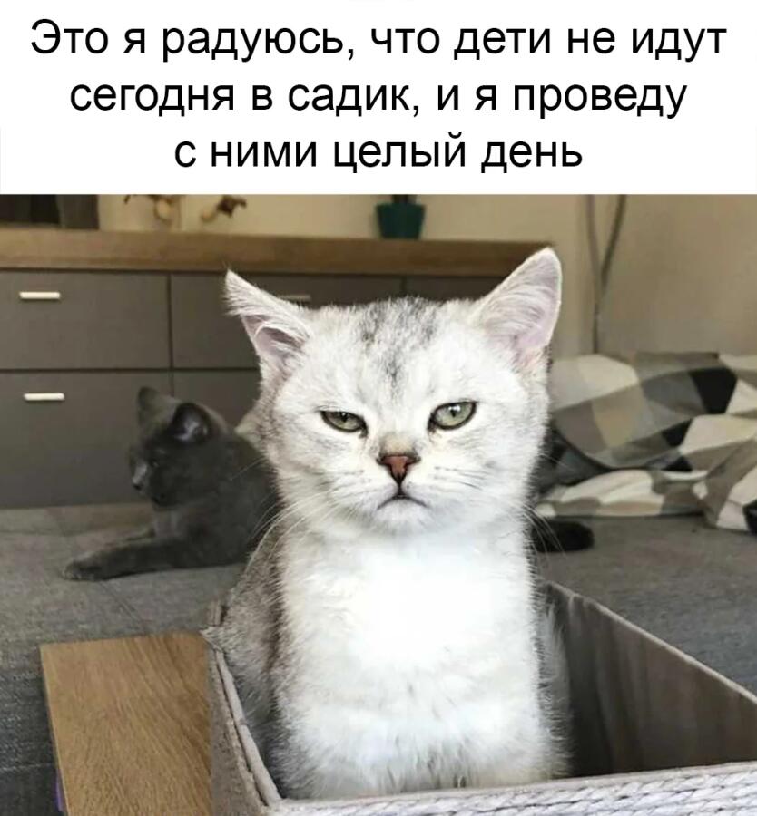 Мем от Левое полушарие мемозга
