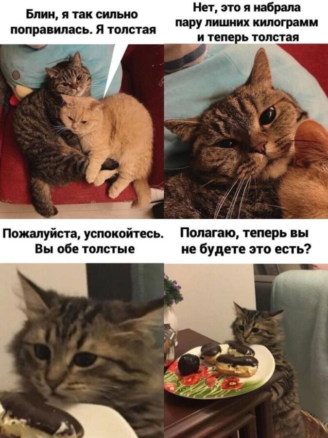 Мем от Левое полушарие мемозга