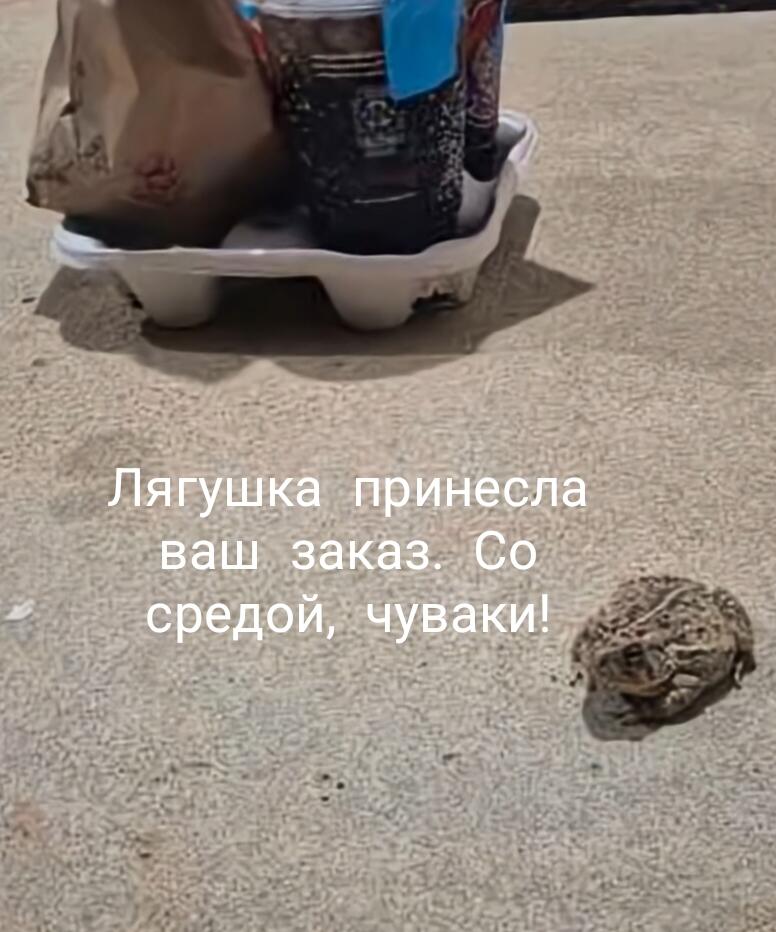 Со средой, чувачки!