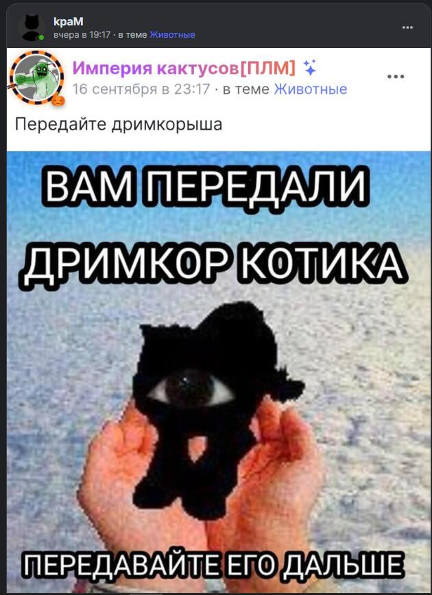 Руки держат вязаного черного кота с одним большим глазом на фоне моря, надпись: Вам передали дримкор котика