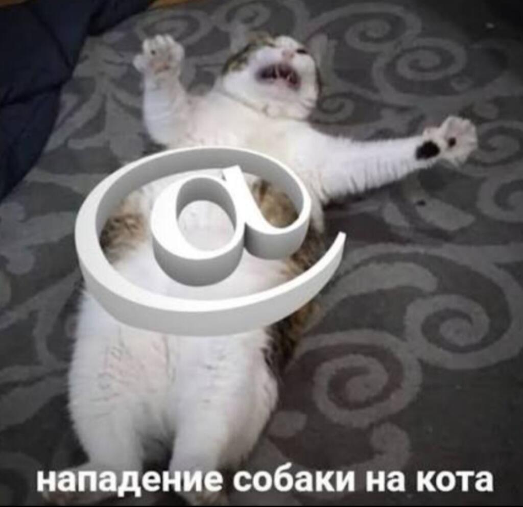 Мем без подписи
