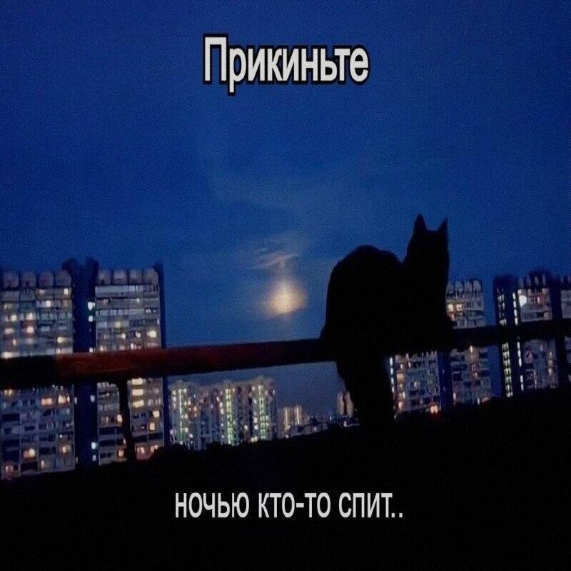 Мем без подписи