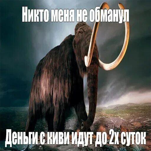 Мамонт с большими бивнями, наложен текст про перевод денег с киви