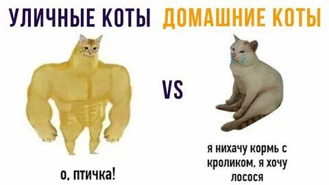 Мем от memas