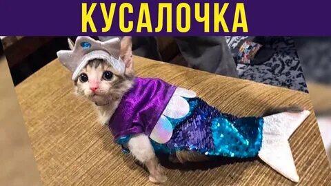 Мем от memas