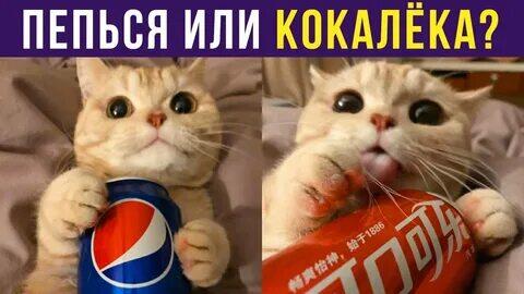 Мем от memas