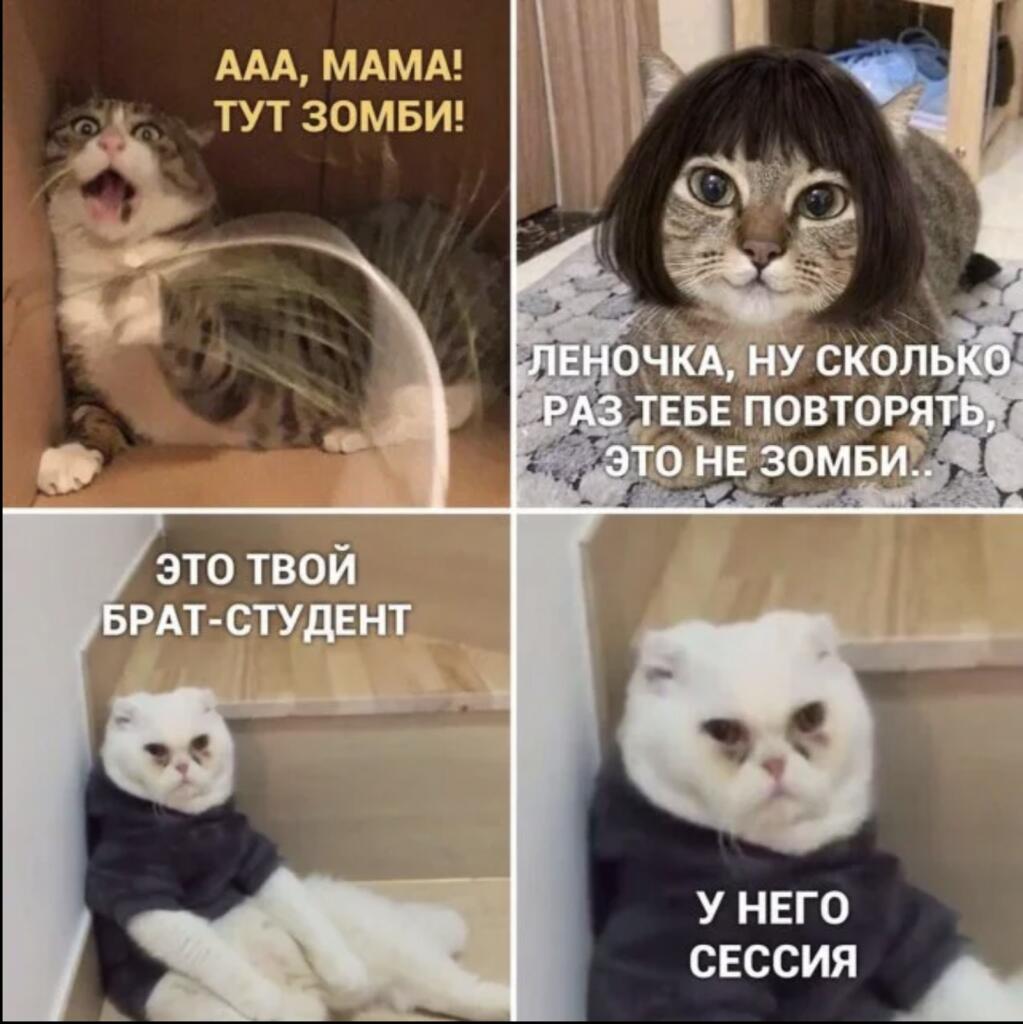 Мемася