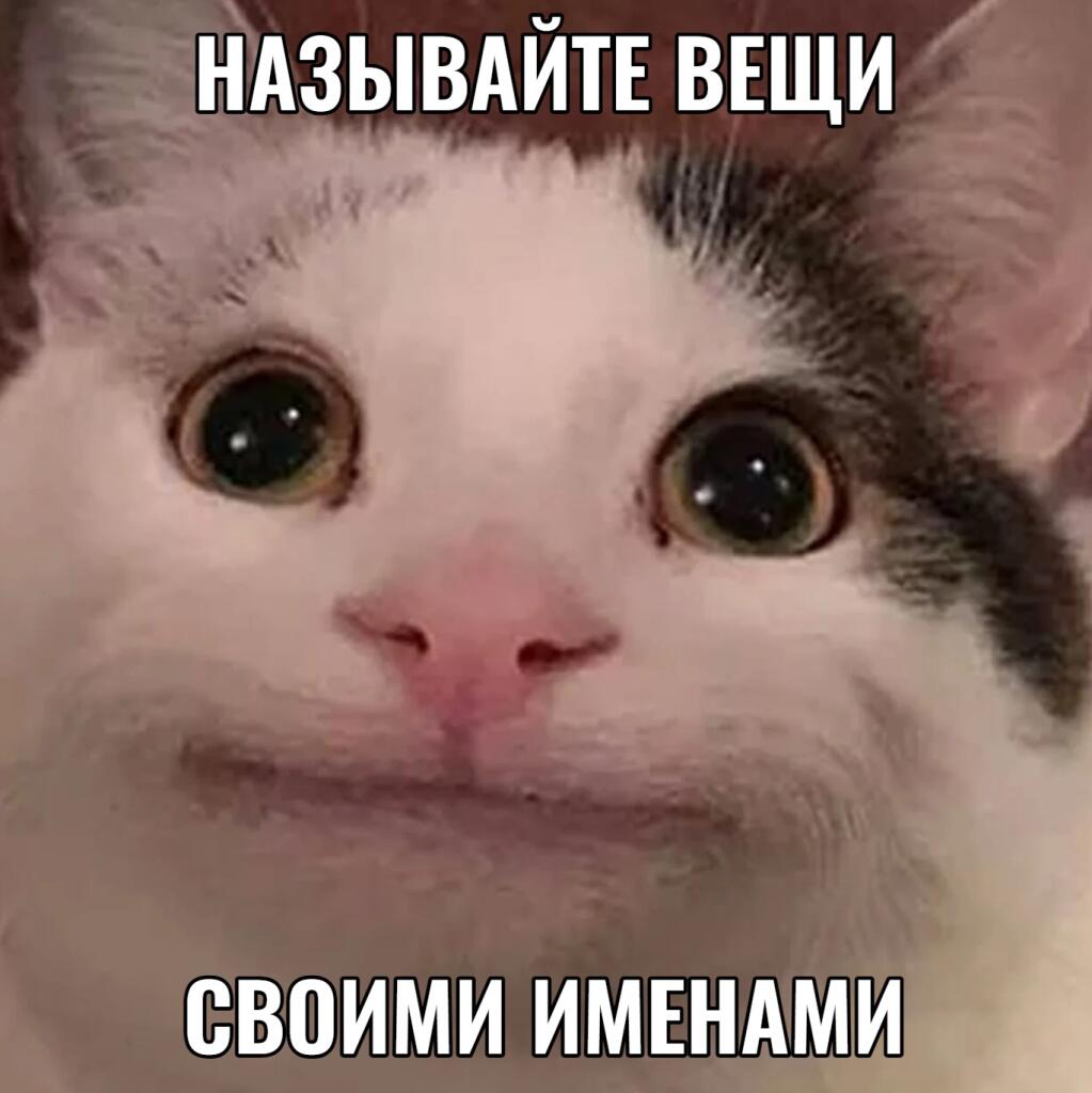 Белый кот смотрит на камеру и требует называть вещи своими именами вместо степеней прожарки