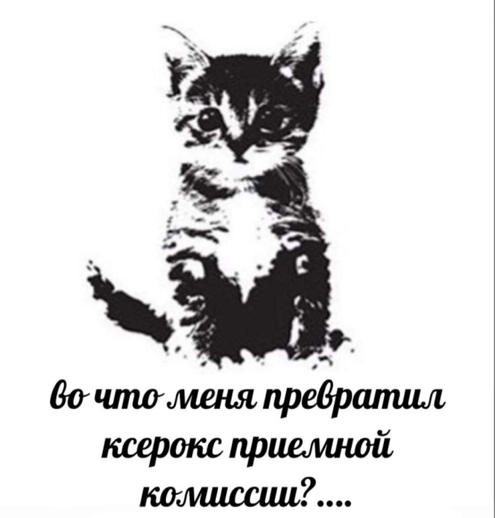 Мем от misfortune official