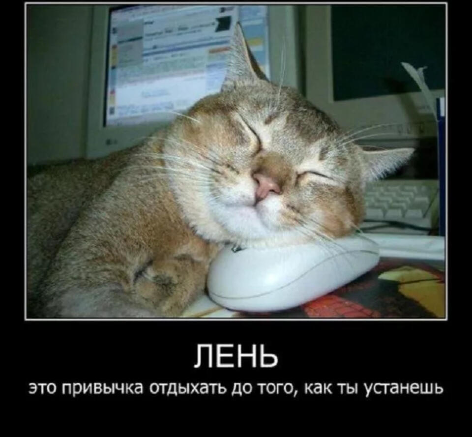 ПОВ: как я успокаиваю себя когда ты ленивый