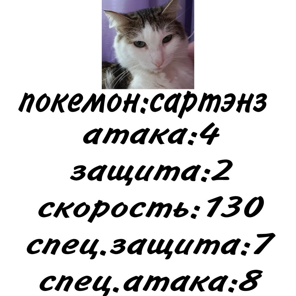Рубрика:покекот