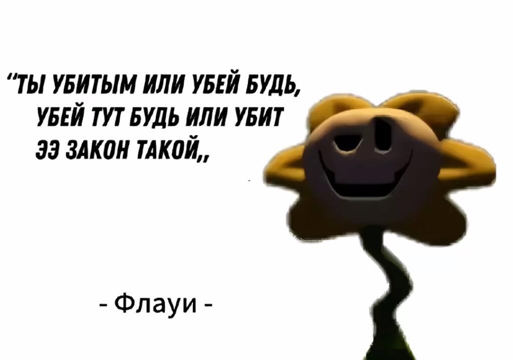 ⊂((・▽・))⊃