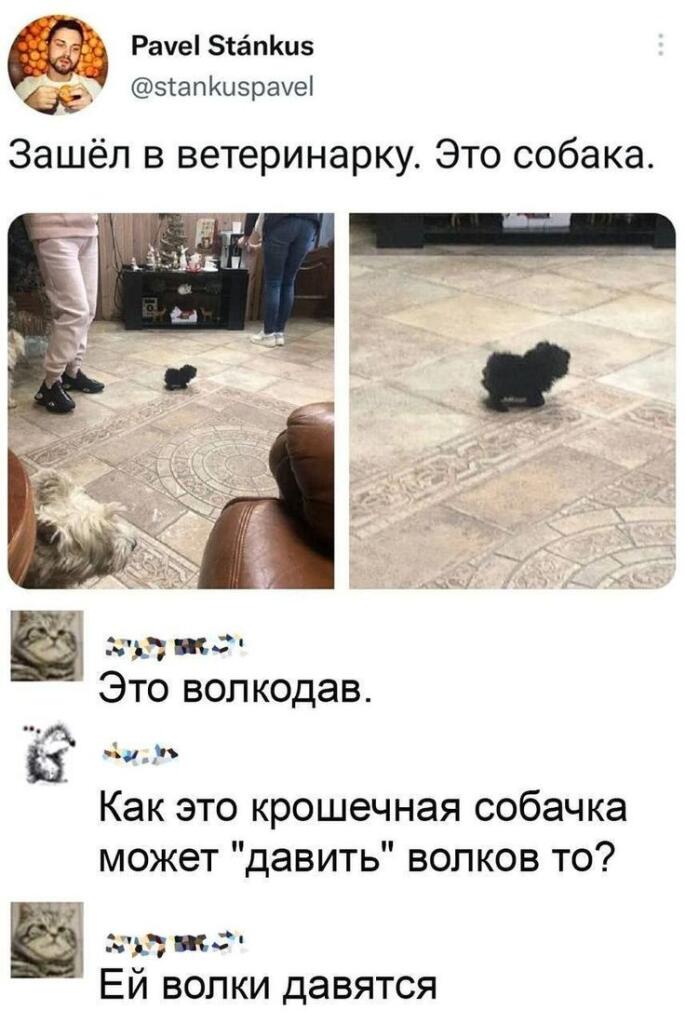 Концентрация маленькости и ультра насилия