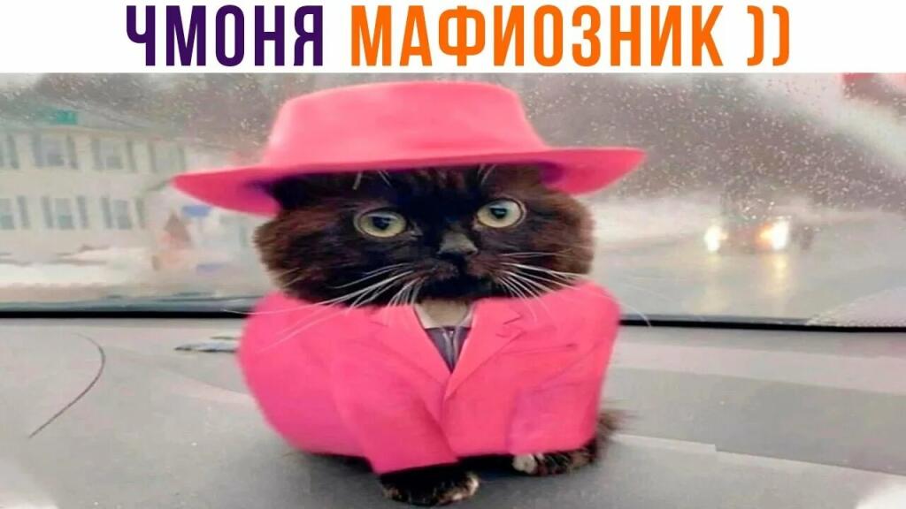 Когда в 6 лет на половину засовываешь соломинку в рот и типа это сигарета: