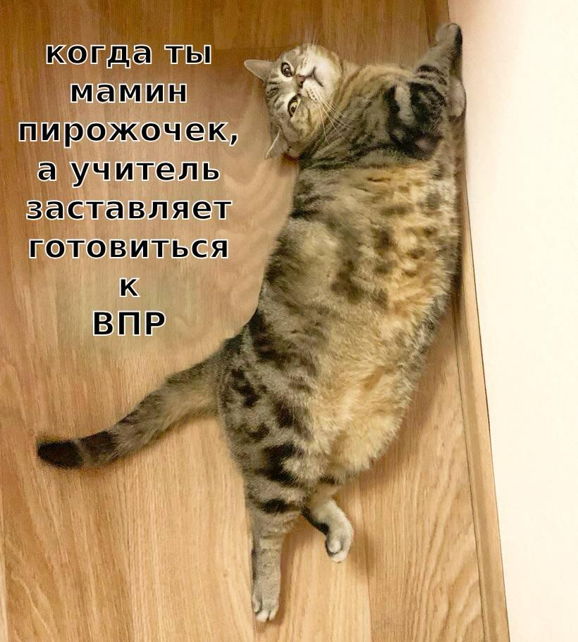 Ну ваще