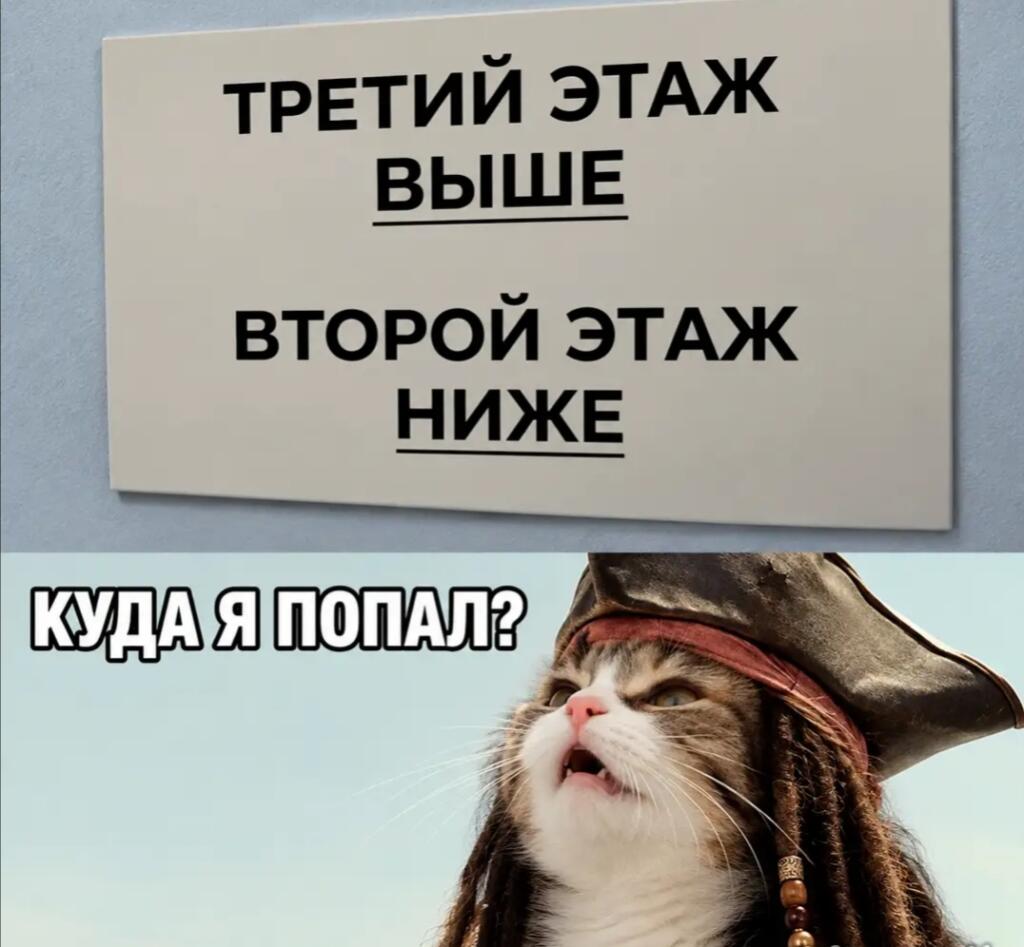 Кот в шляпе капитана Джека Воробья смотрит вверх с надписью «Куда я попал?» на фоне таблички с путающими указателями этажей