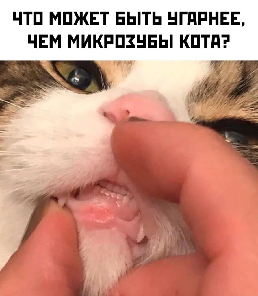 Мем от Мемный Мозг ꧁༺ 𝓑𝓔𝓑𝓔𝓟𝓛𝓜 ༻꧂