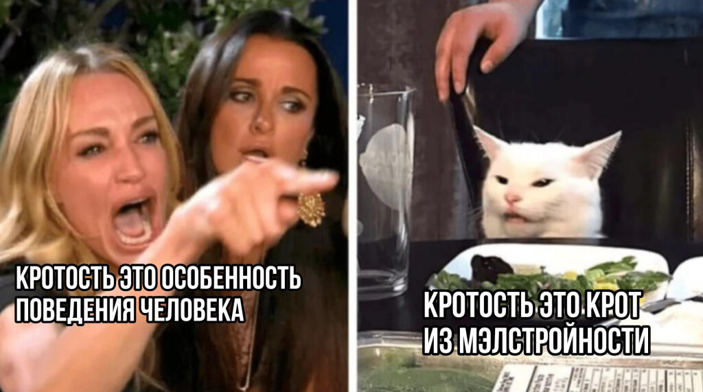 Блин , я когда в уме читал мем понял,что ассоциирую этого кота с голосом Алексея совы
