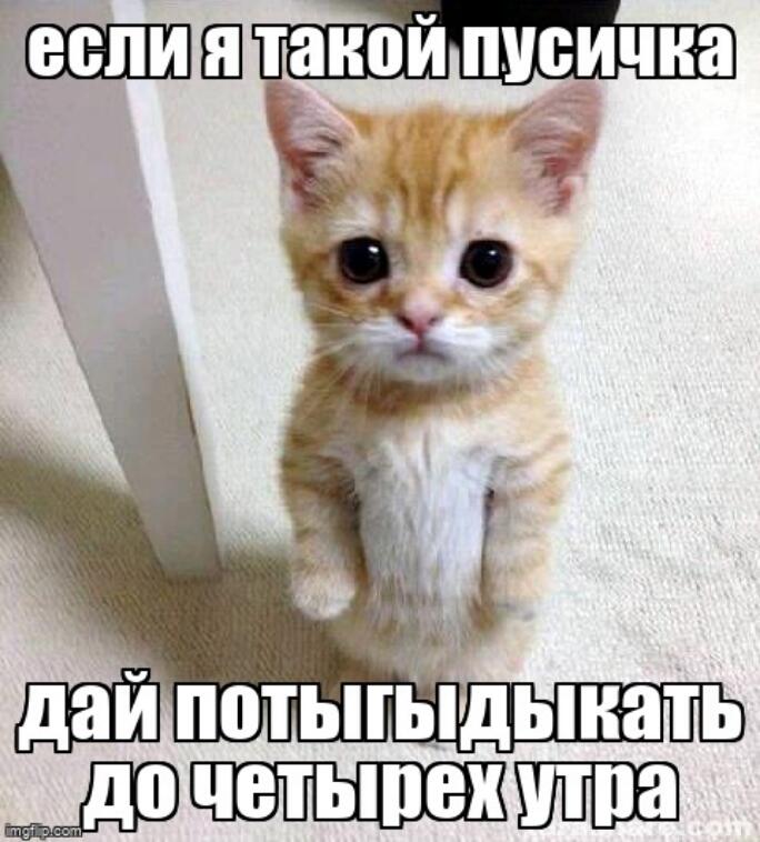 Скажи прямо, ты дашь потыгыдыкать этой пусичке?