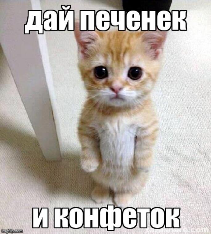 Мем от СуперПельмень3000