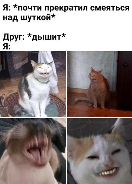 Мем без подписи