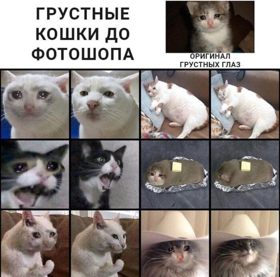 Мем без подписи