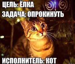 Мем без подписи