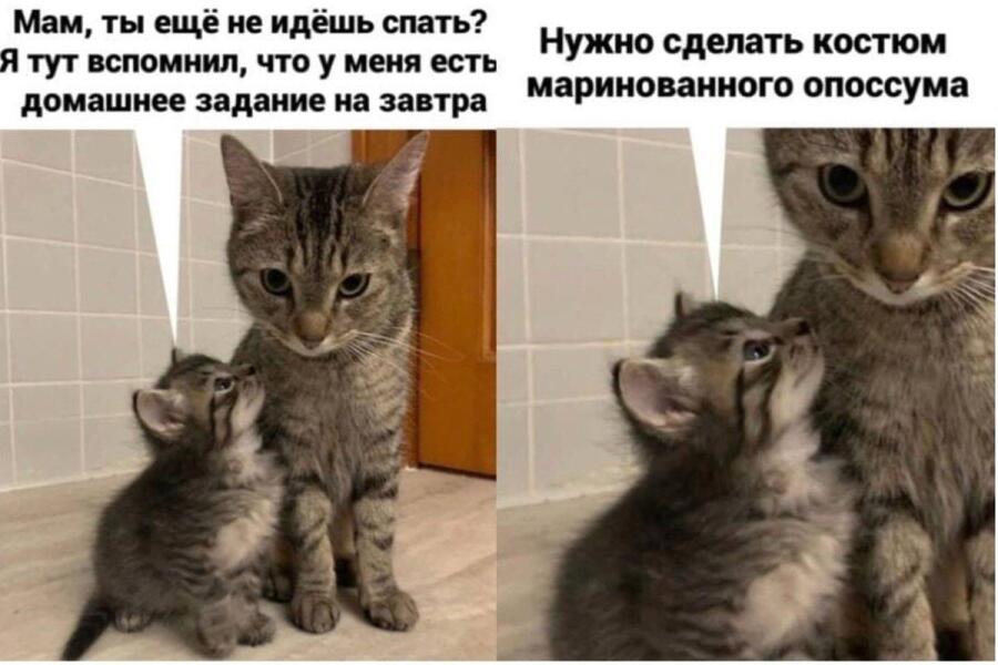Мем от Пяльмень