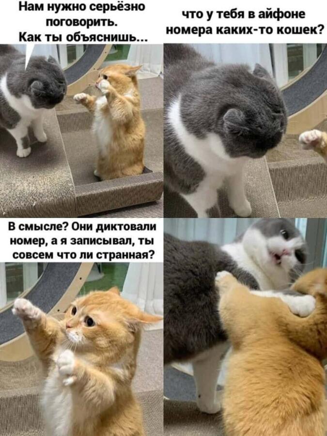 Мем от Пяльмень