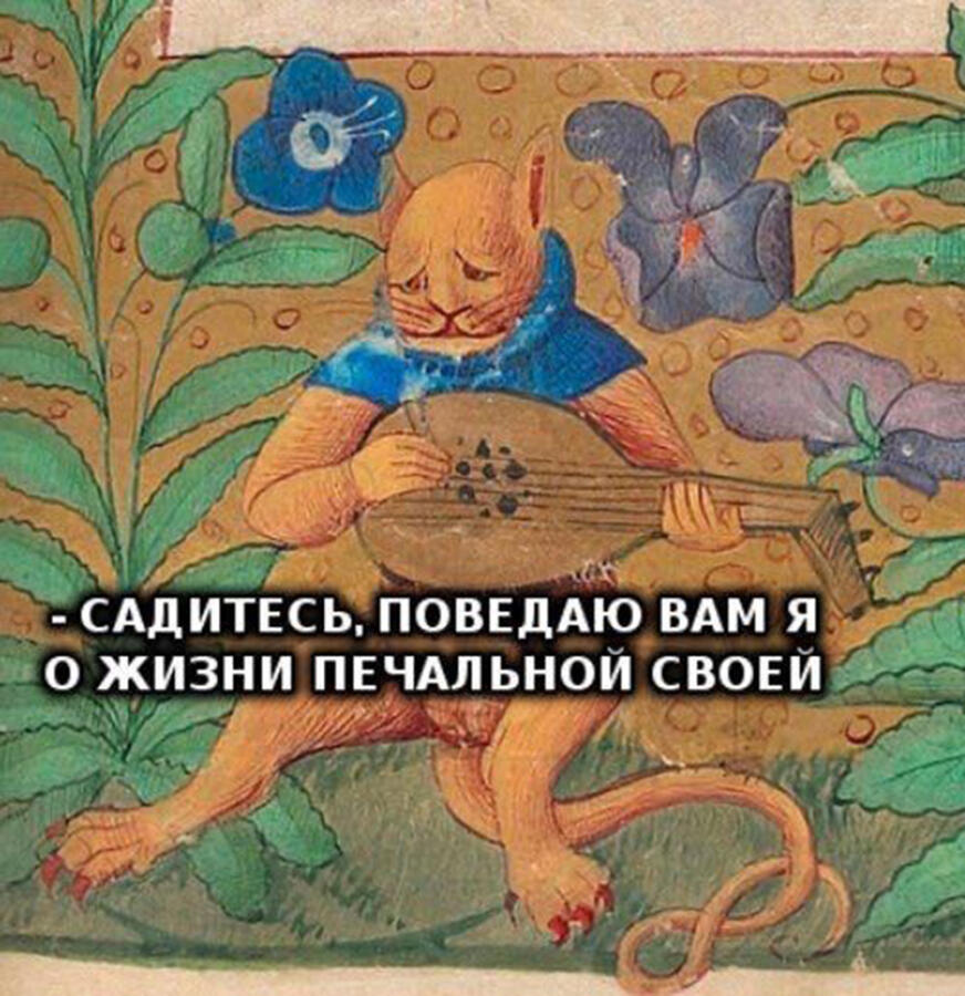 Мем от Пяльмень