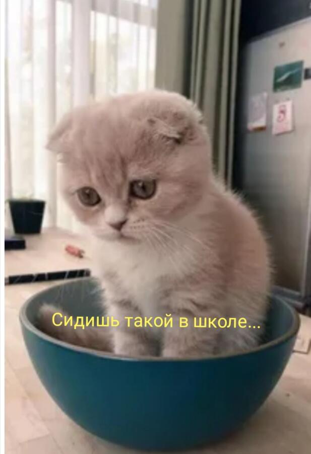 Это не анекдот а совет:
Помню мне раньше говорили что когда тебе гру...