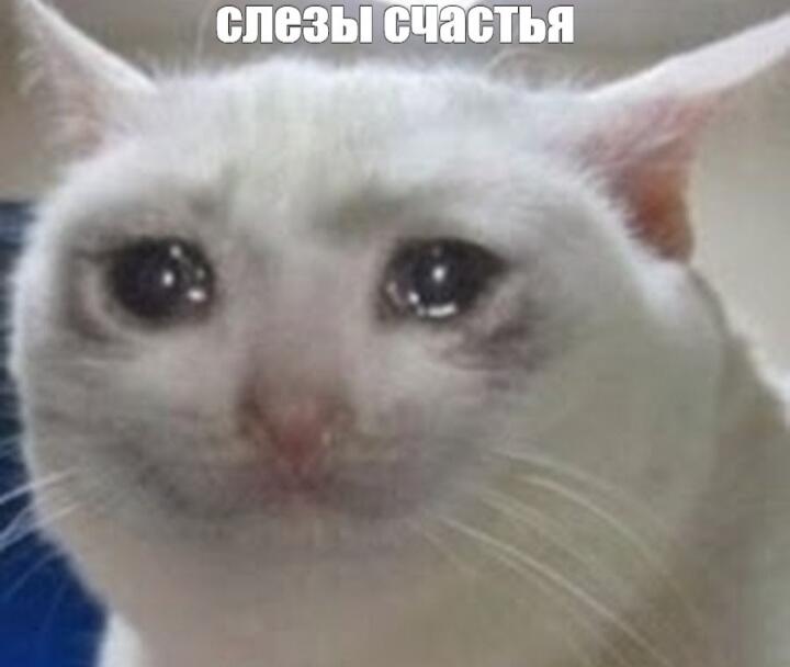 История из жизни:  Летом (не помню середина была это или конец) у мен...