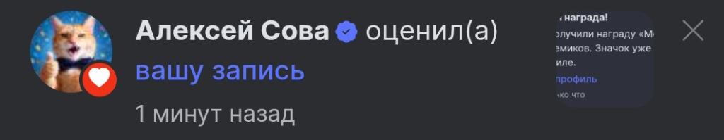 Скриншот уведомления о том, что Алексей Сова оценил запись, с текстом День везения
