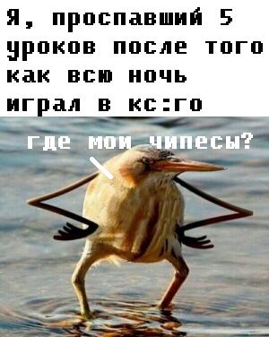Я чипсикам предпочитаю луковые колечки, а вы что любите из "химии"?