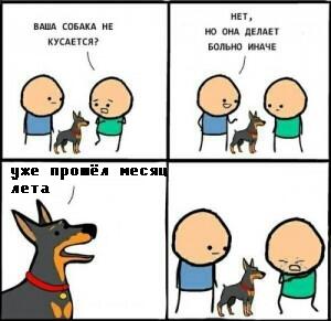 я и понять не успел как наступил Июль
