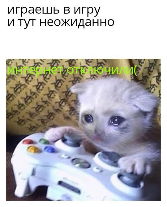 Мем от Kelli