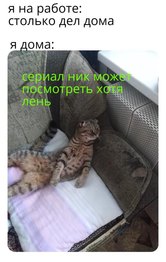 Мем от Kelli