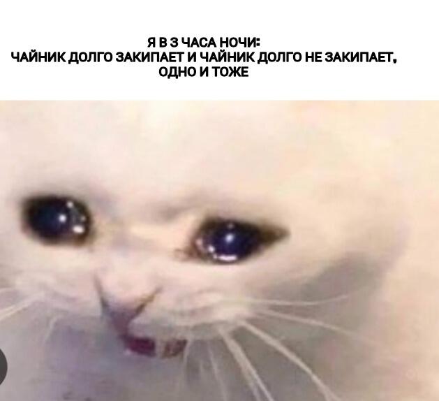 Мем без подписи