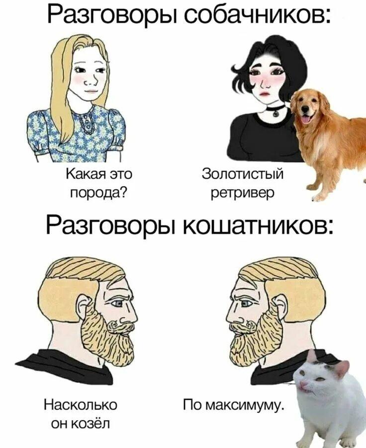Люди делятся на два типа