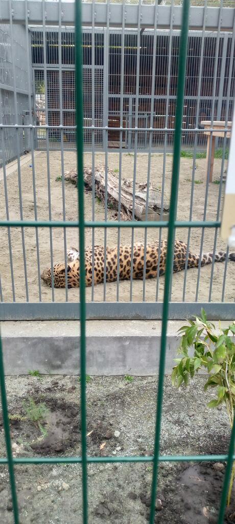 Я когда в школу