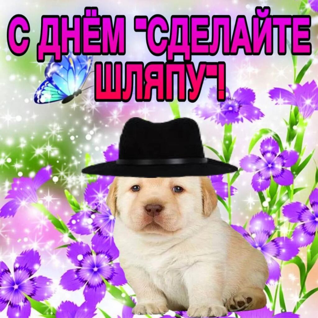 С днём "сделайте шляпу"!
15 Сентября - Отмечается день "'сделайте шляпу"
Отправляй корешу, который и так творит какую-то
