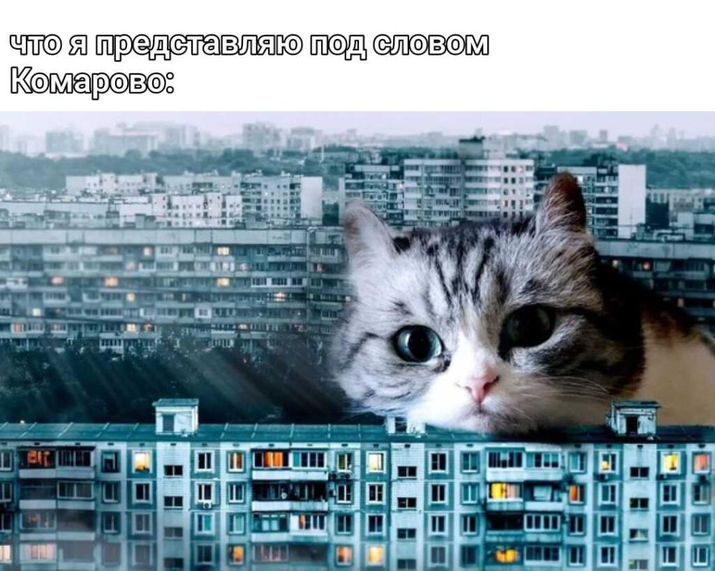 Комарово